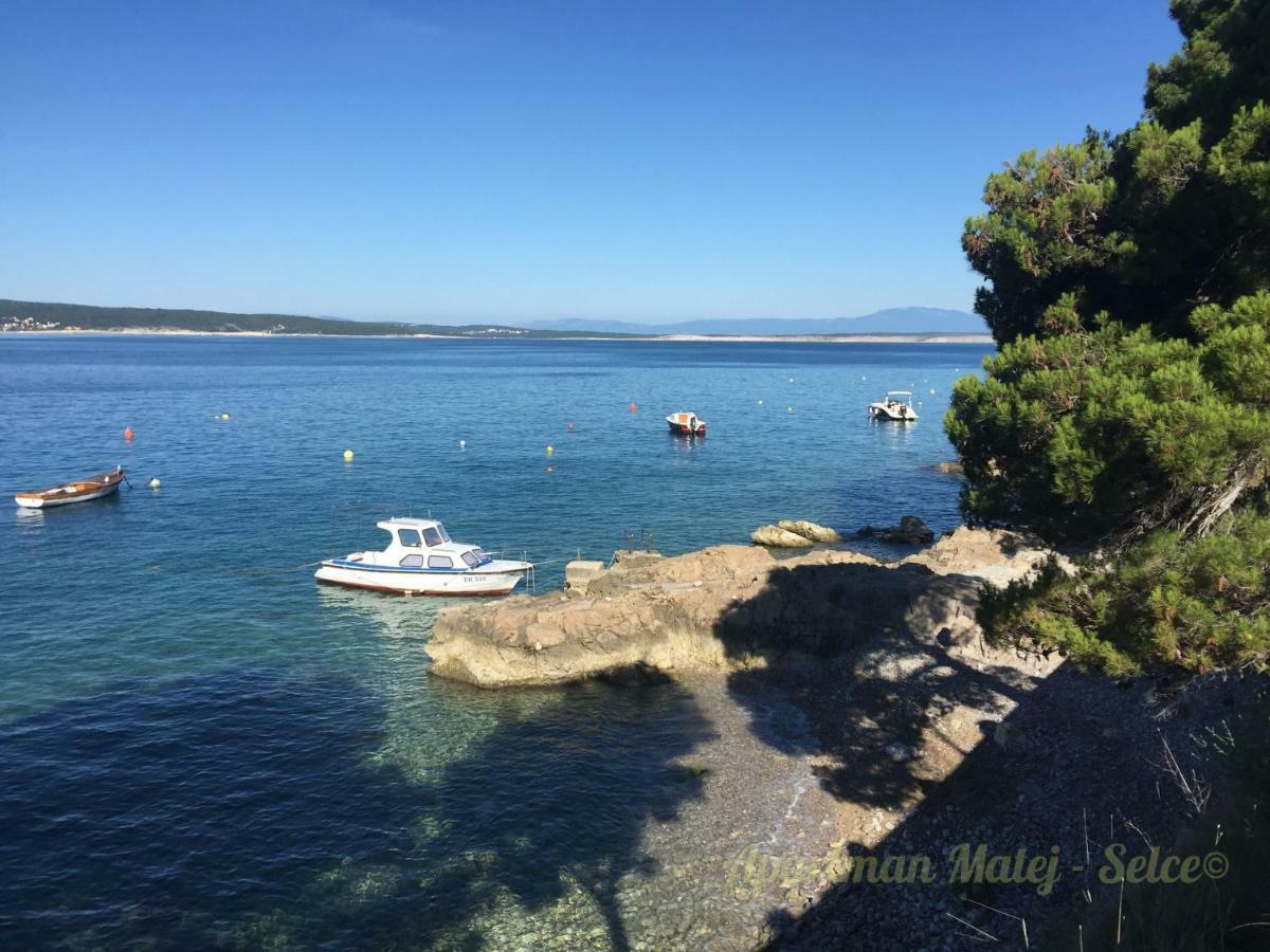 Apartman Matej -Selce Buitenkant foto
